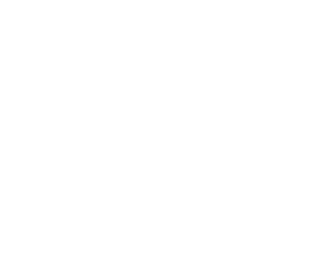Genius Afrika Logistics